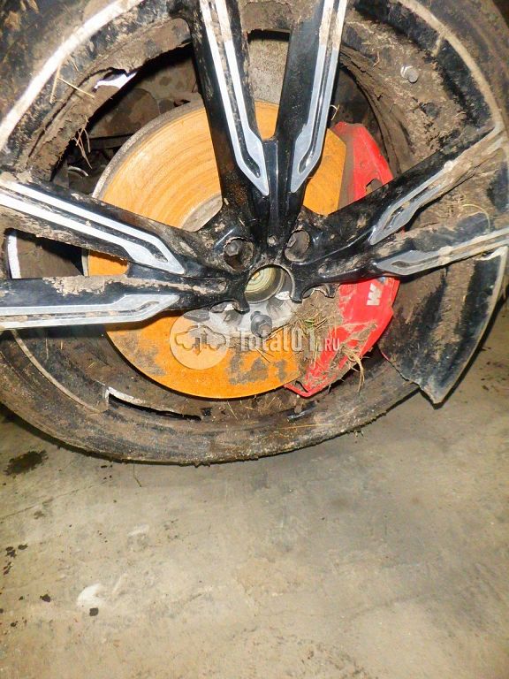 Фото BMW X6 M 352