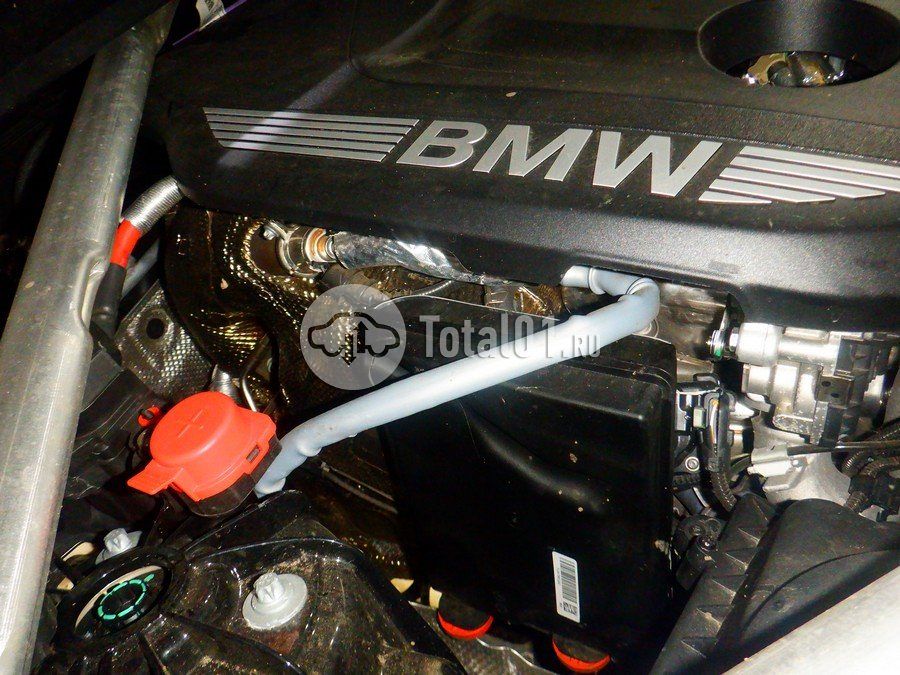 Фото BMW X6 M 446