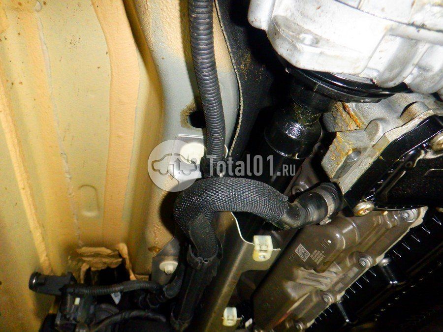 Фото BMW X6 M 556