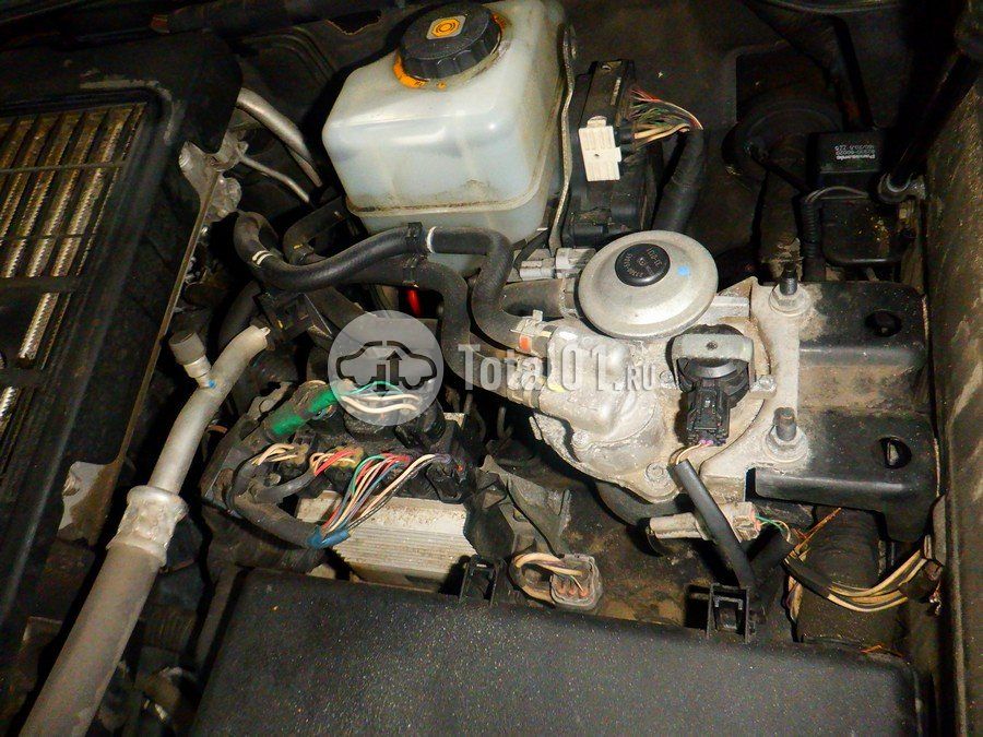 Фото Toyota Land Cruiser 292