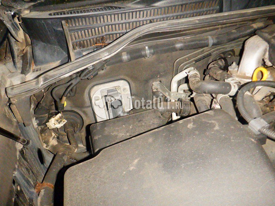 Фото Toyota Land Cruiser 316