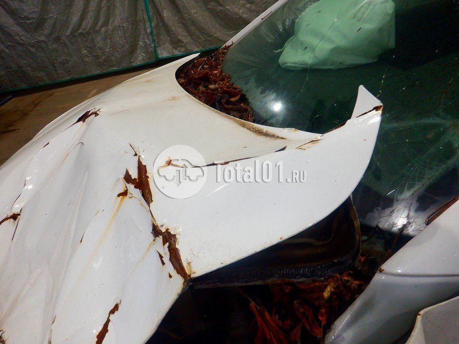 Фото Hyundai Elantra 182