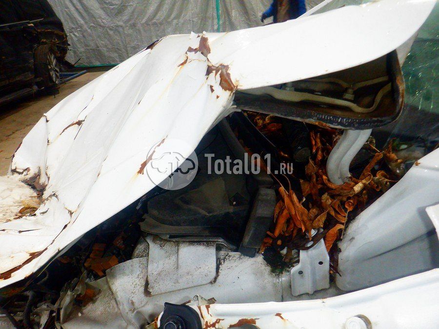 Фото Hyundai Elantra 184