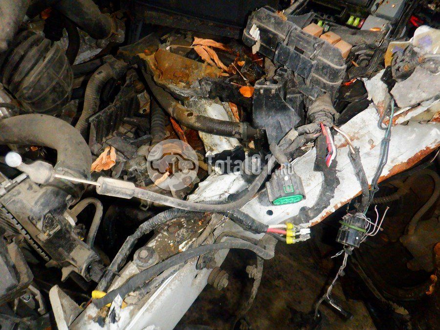 Фото Hyundai Elantra 212