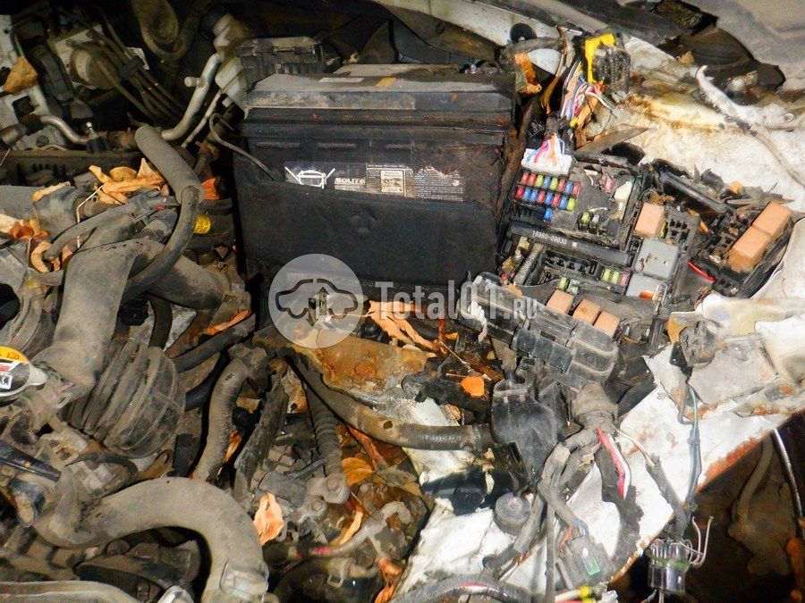 Фото Hyundai Elantra 224