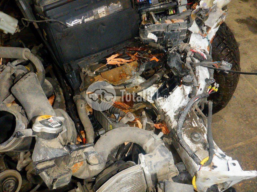 Фото Hyundai Elantra 240