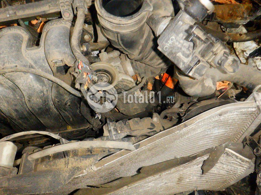 Фото Hyundai Elantra 242