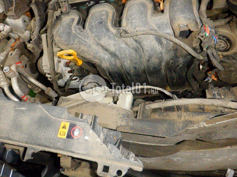 Фото Hyundai Elantra 244