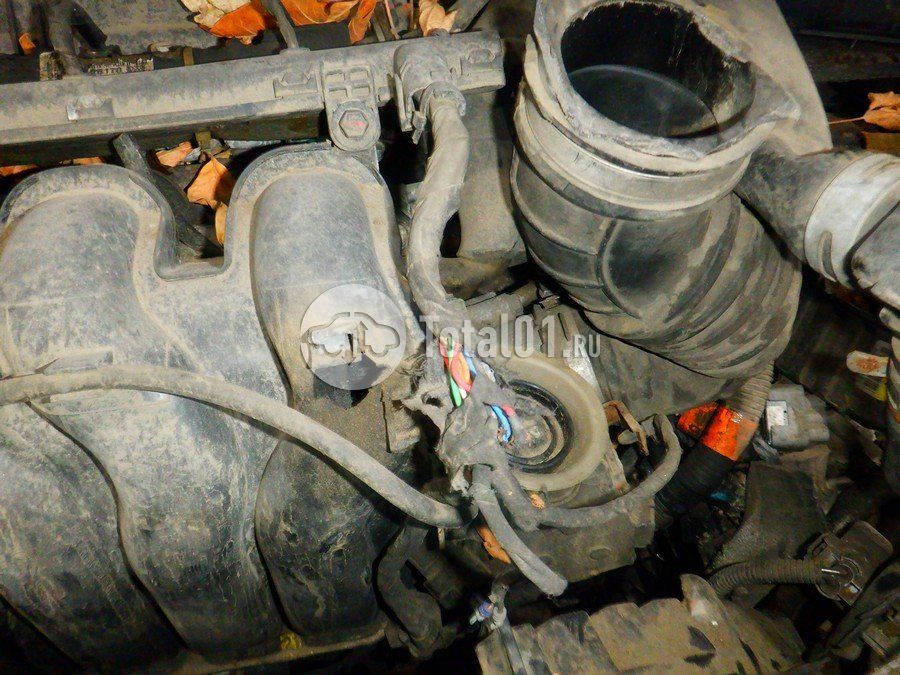 Фото Hyundai Elantra 246