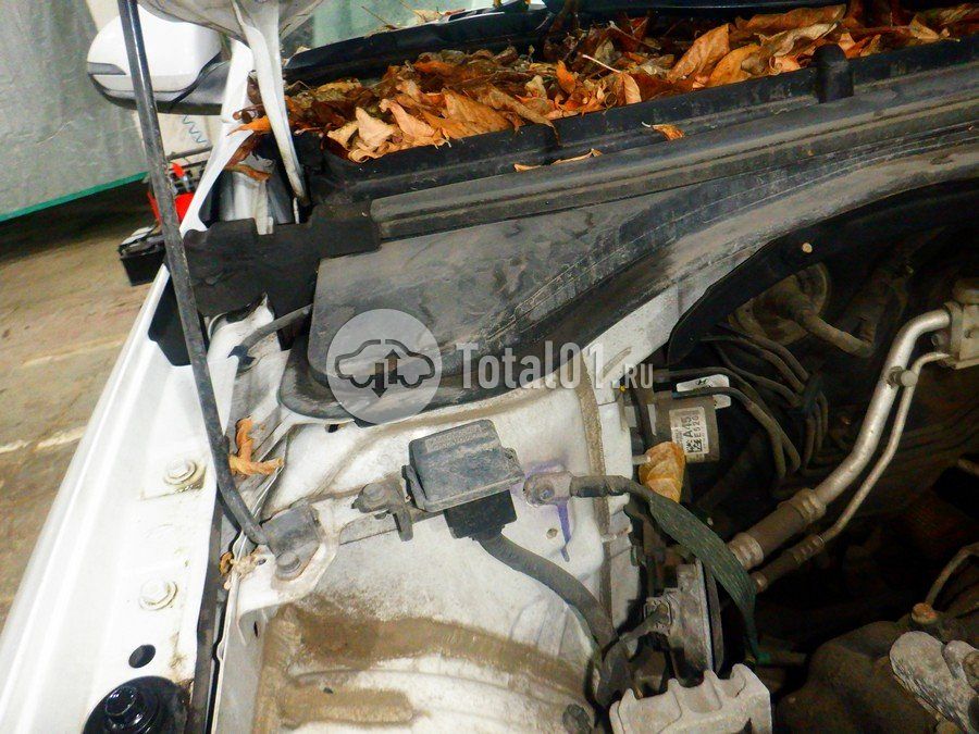 Фото Hyundai Elantra 254