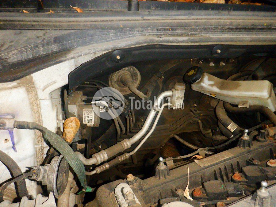 Фото Hyundai Elantra 256