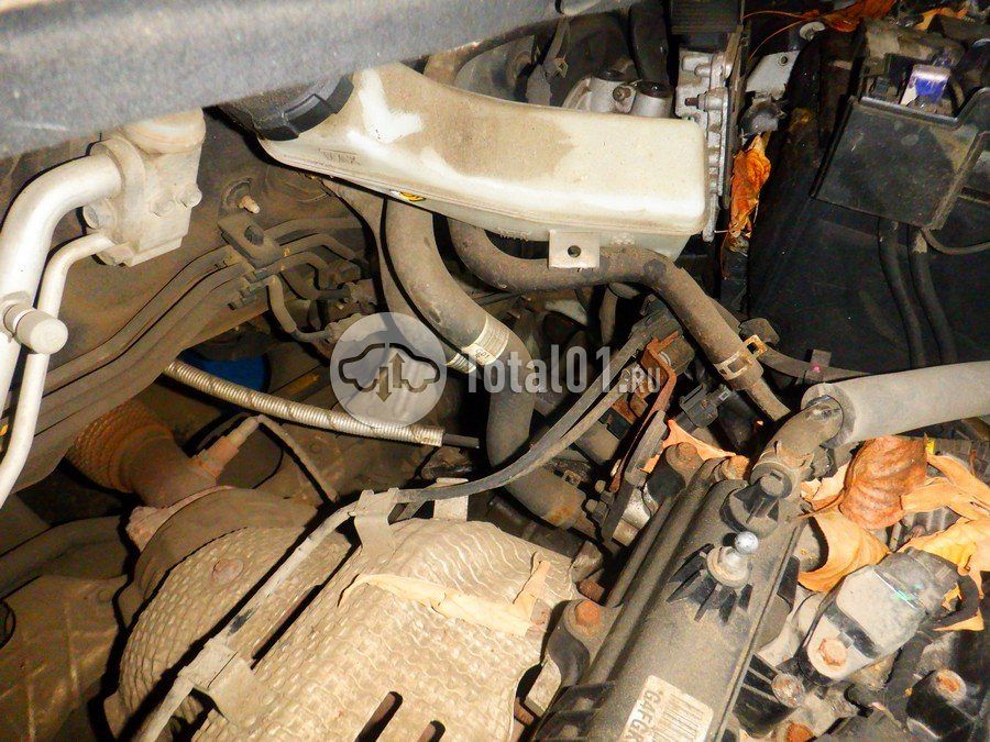 Фото Hyundai Elantra 258