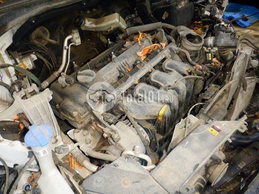 Фото Hyundai Elantra 262