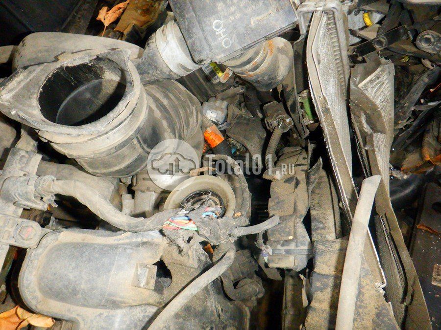 Фото Hyundai Elantra 270