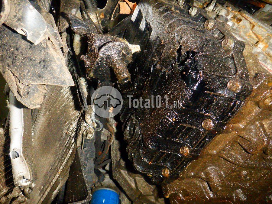 Фото Hyundai Elantra 308