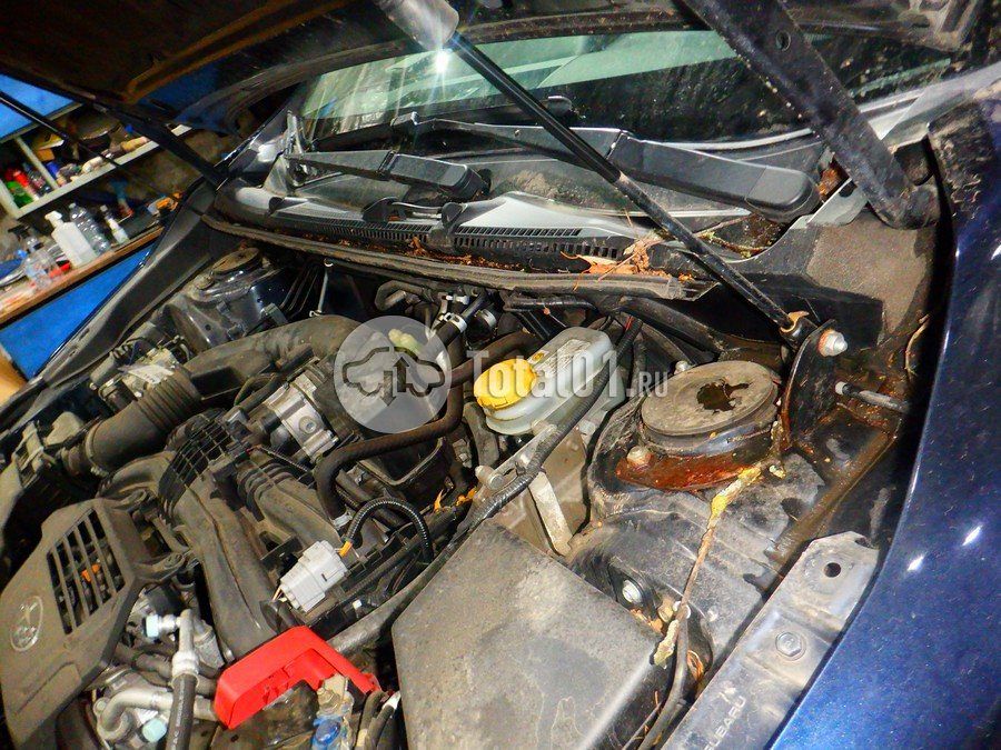 Фото Subaru XV 158