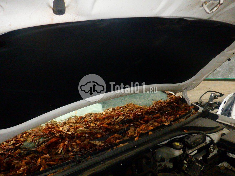 Фото Hyundai Elantra 114