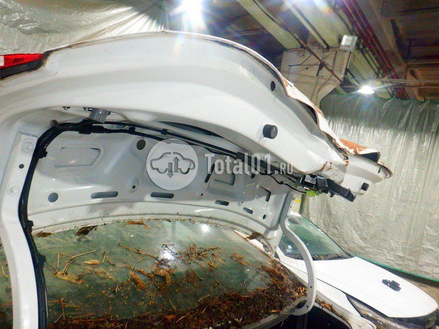 Фото Hyundai Elantra 188