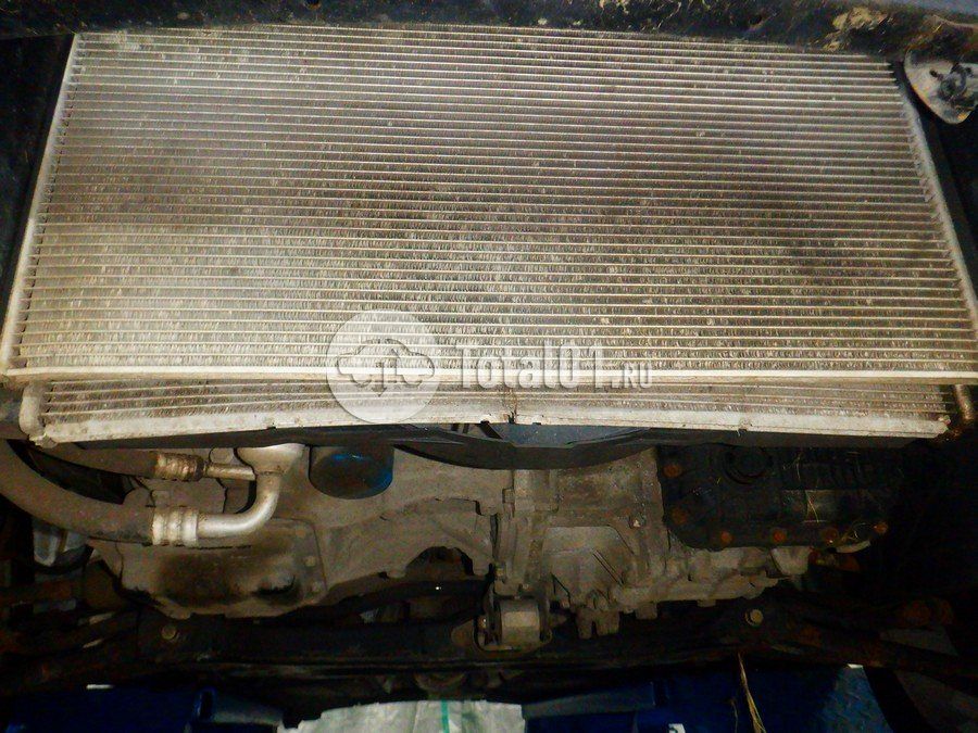 Фото Hyundai Elantra 230