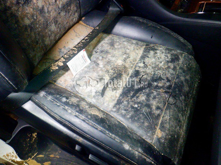 Фото Toyota Alphard 32