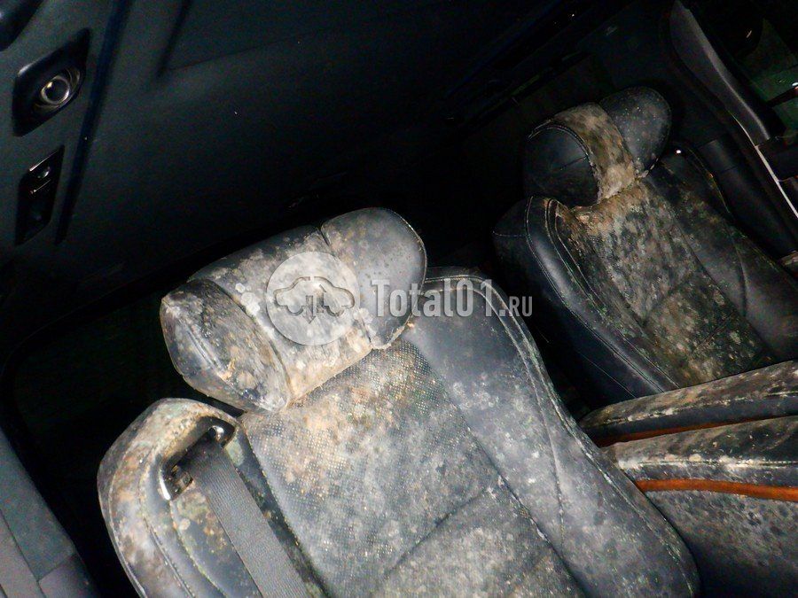 Фото Toyota Alphard 74