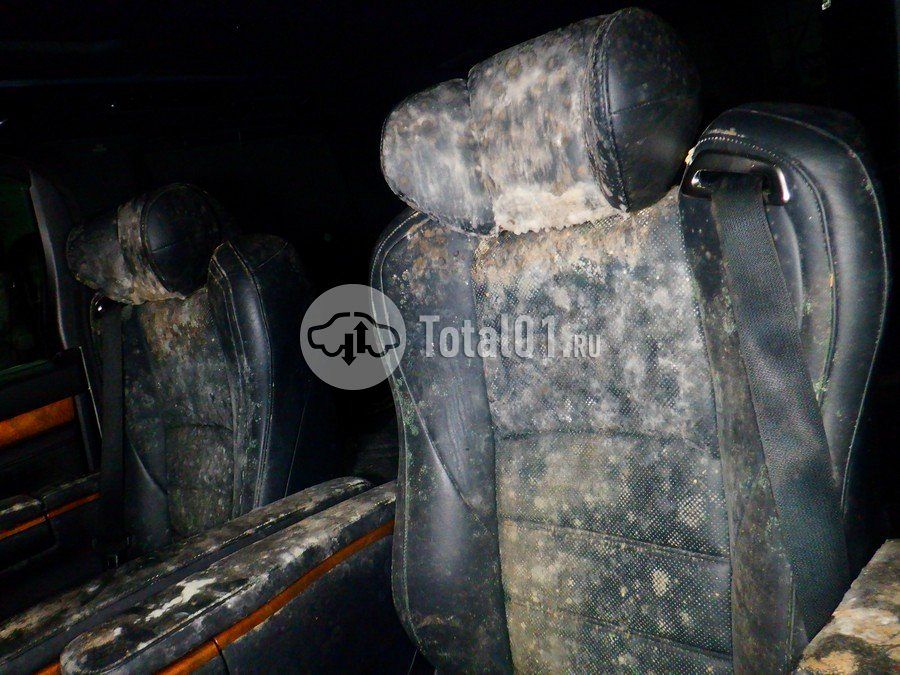 Фото Toyota Alphard 120