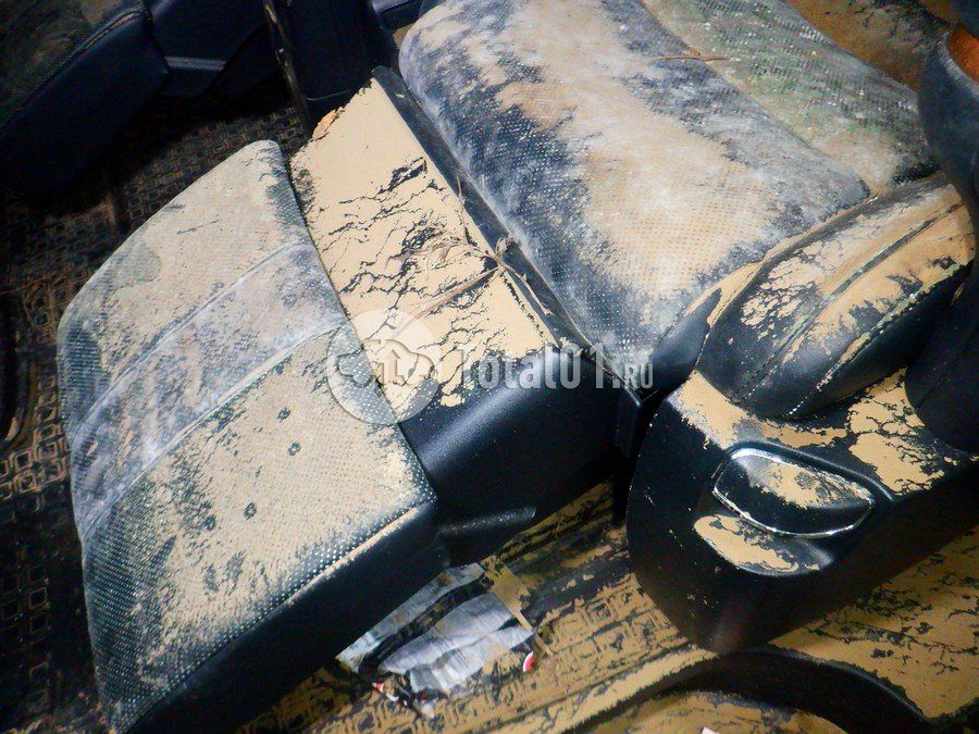 Фото Toyota Alphard 126