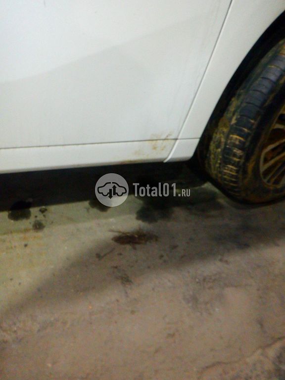 Фото Toyota Alphard 194