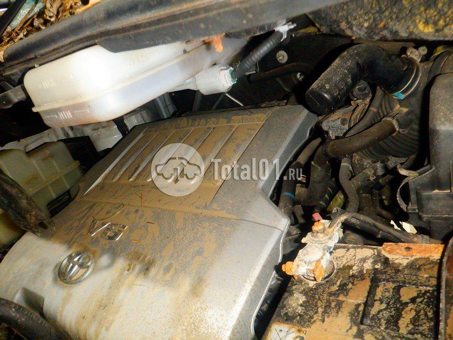 Фото Toyota Alphard 316