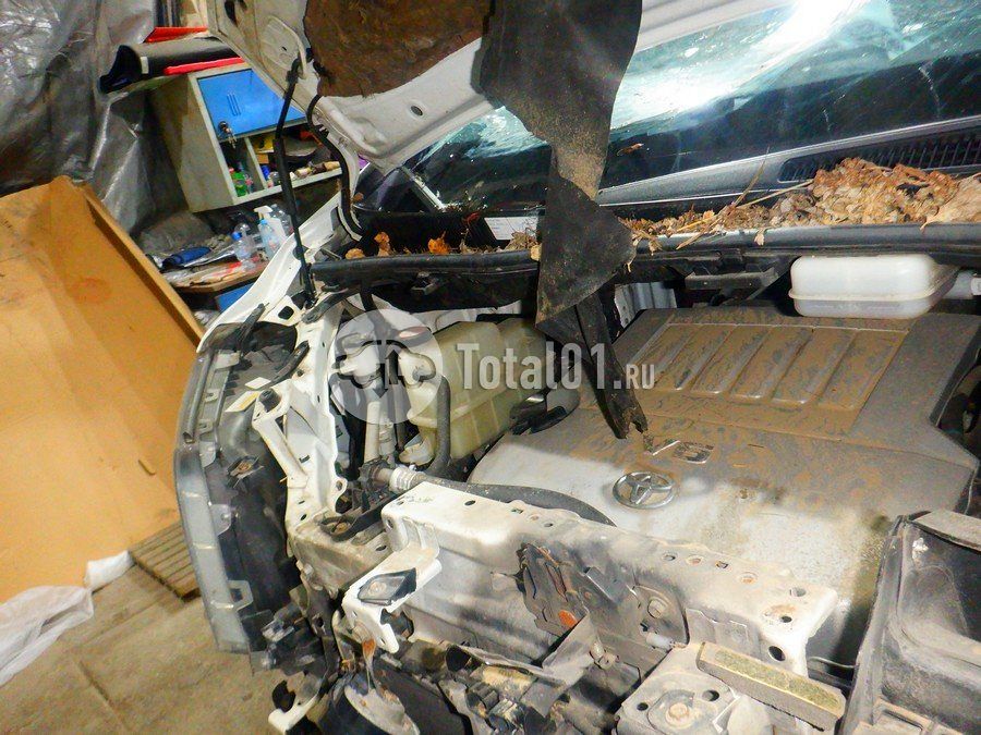 Фото Toyota Alphard 340