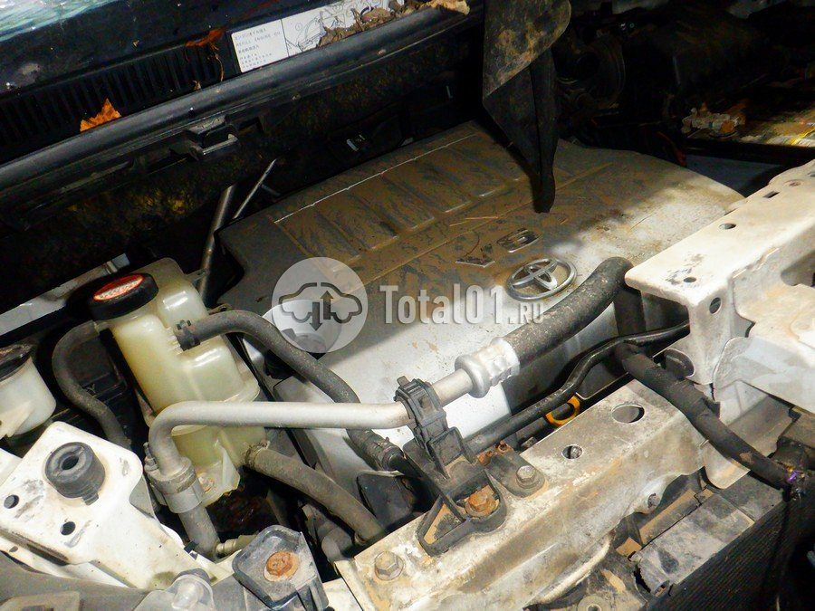 Фото Toyota Alphard 346