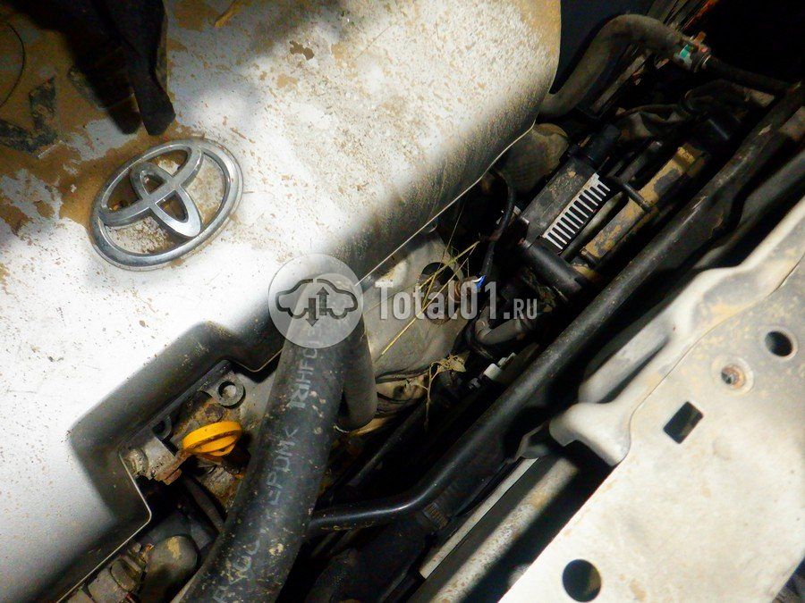 Фото Toyota Alphard 356