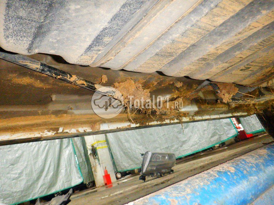 Фото Toyota Alphard 394