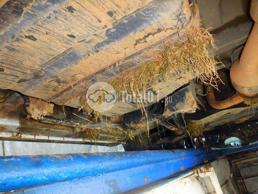 Фото Toyota Alphard 400