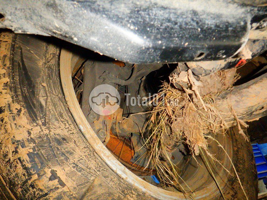 Фото Toyota Alphard 438