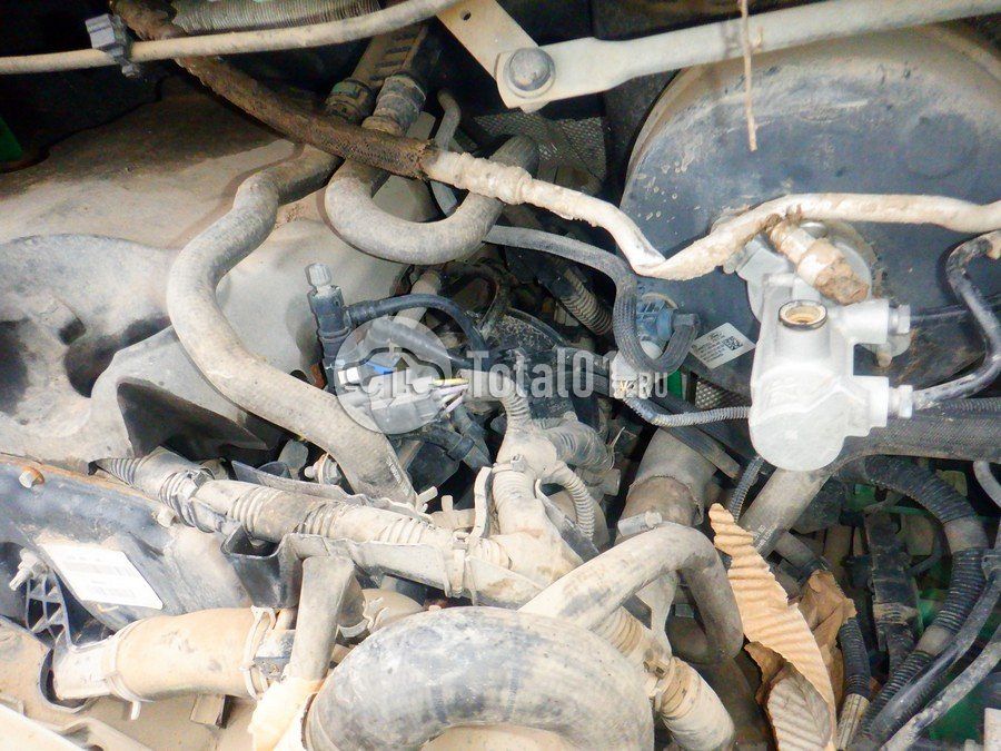 Фото Ford Transit 174