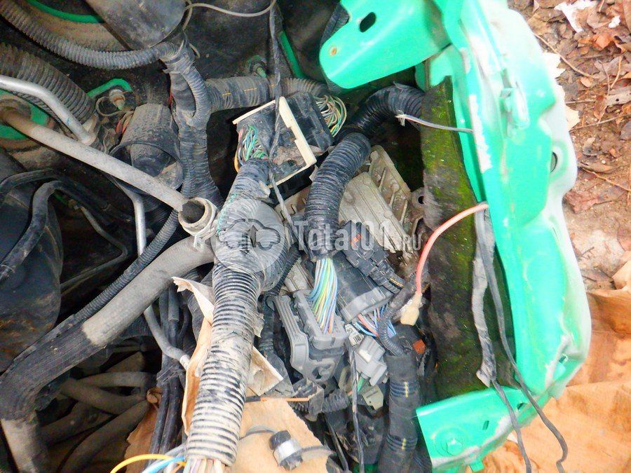 Фото Ford Transit 184