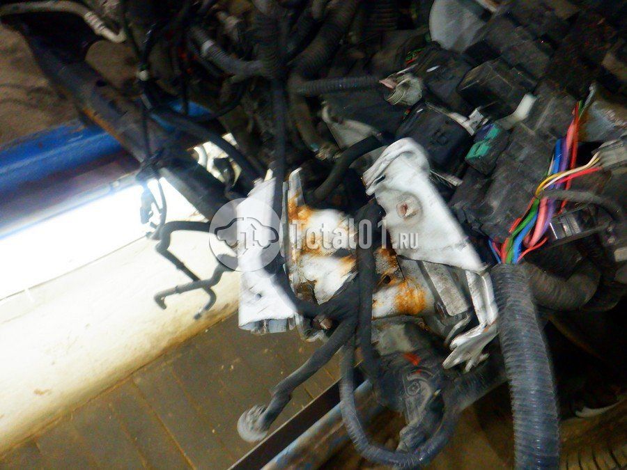 Фото Nissan X-Trail 244