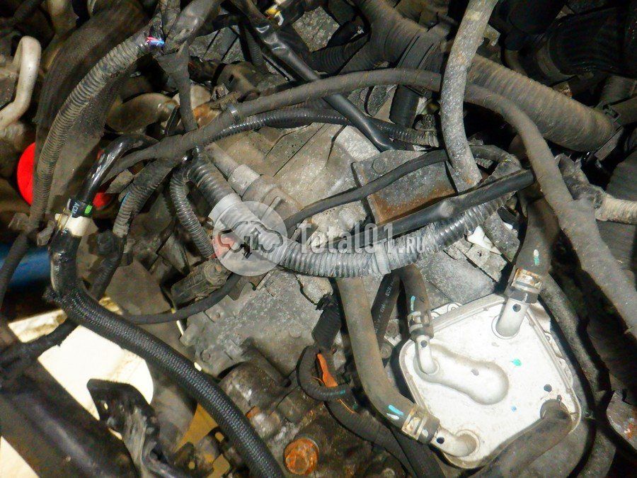 Фото Nissan X-Trail 256