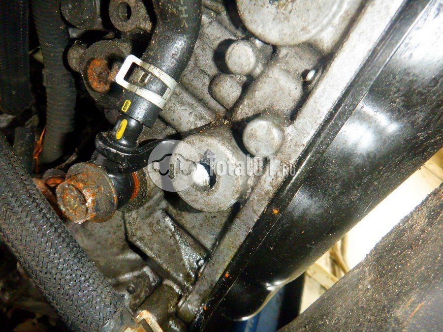 Фото Nissan X-Trail 386