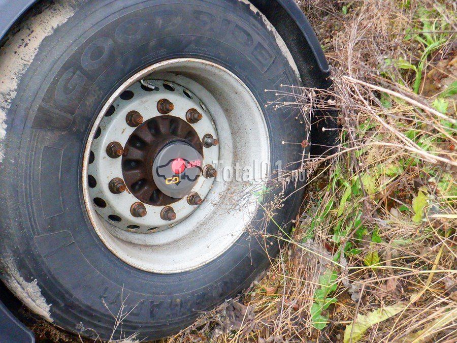 Фото ГРАЗ 9134 70