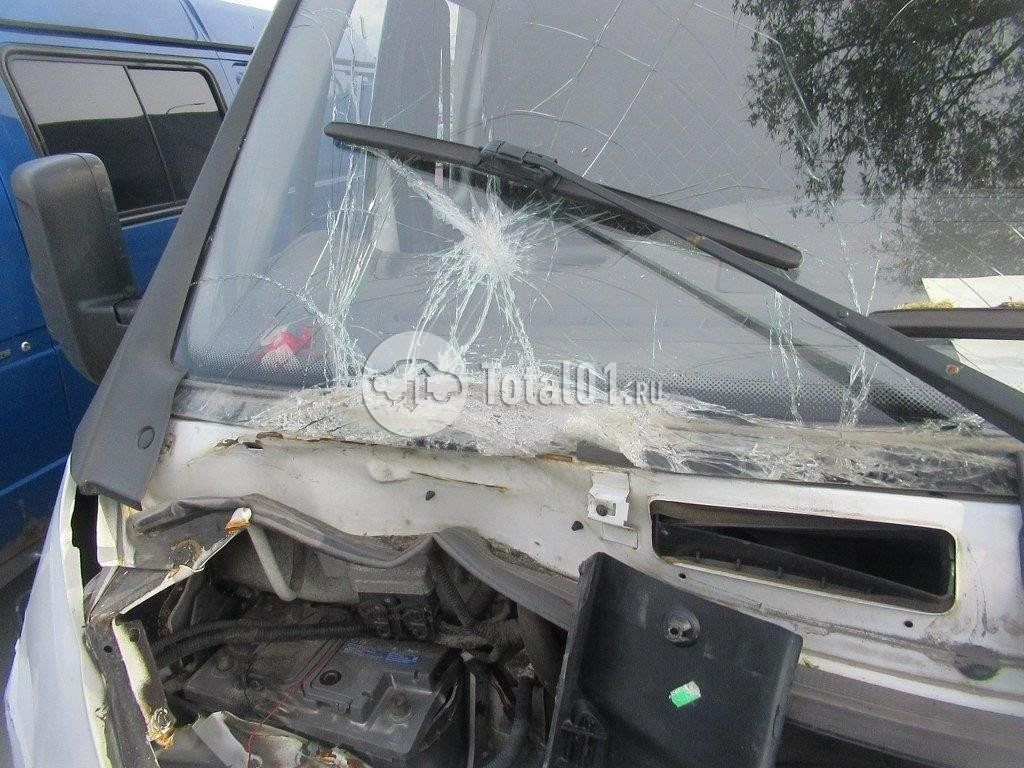 Фото ГАЗ ГАЗель БИЗНЕС 8