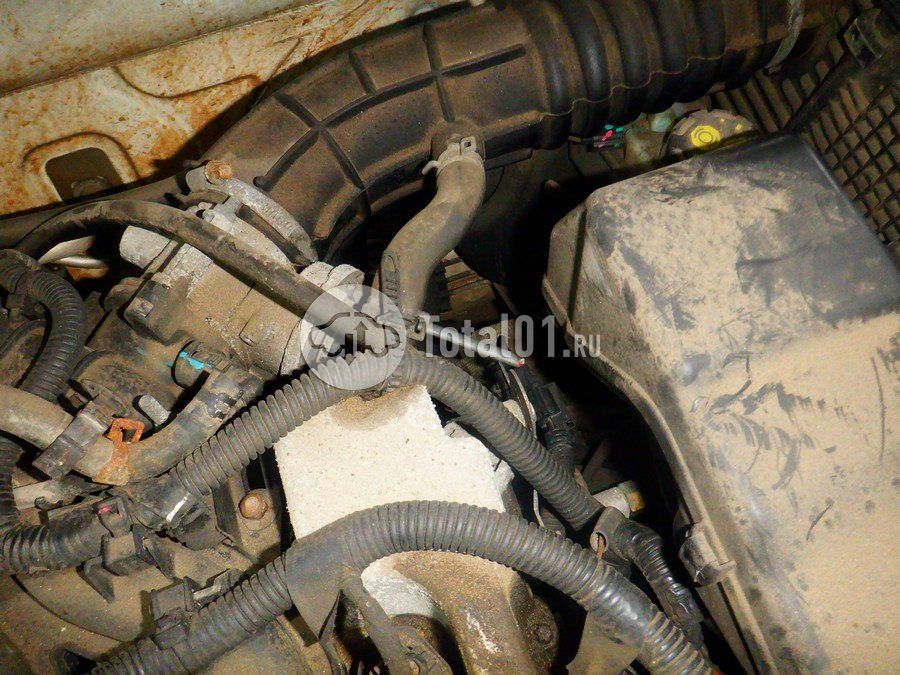 Фото ВАЗ (LADA) Largus 260