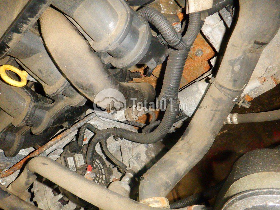 Фото ВАЗ (LADA) Largus 286