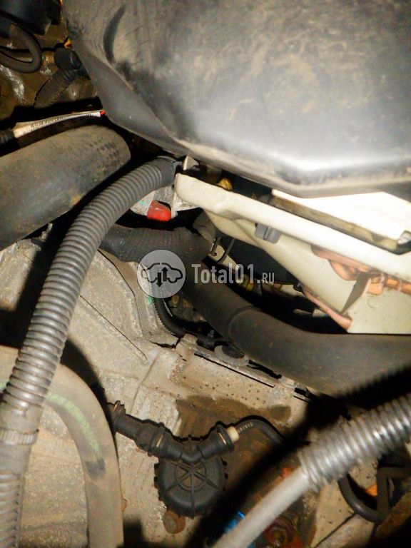 Фото ВАЗ (LADA) Largus 292