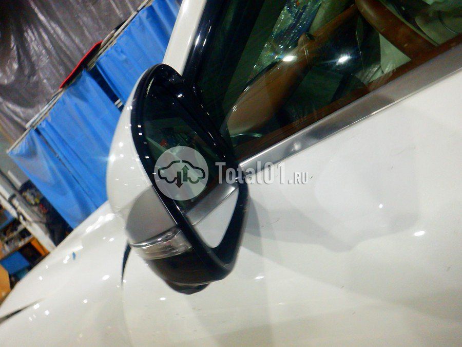 Фото Voyah Free 184