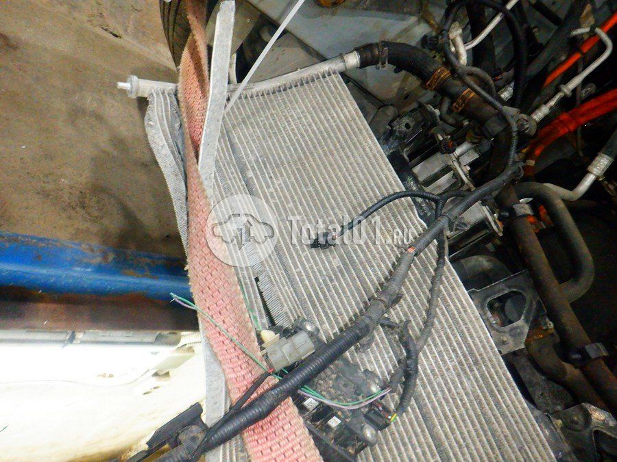 Фото Voyah Free 262