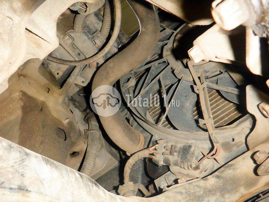 Фото Opel Astra 260