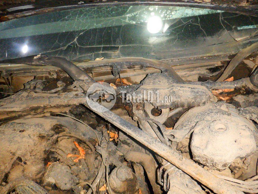 Фото BMW 3 серия 172