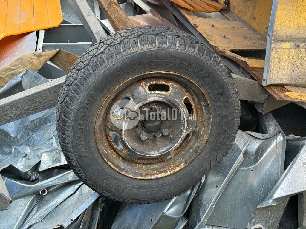 Фото TMDUP другая 18